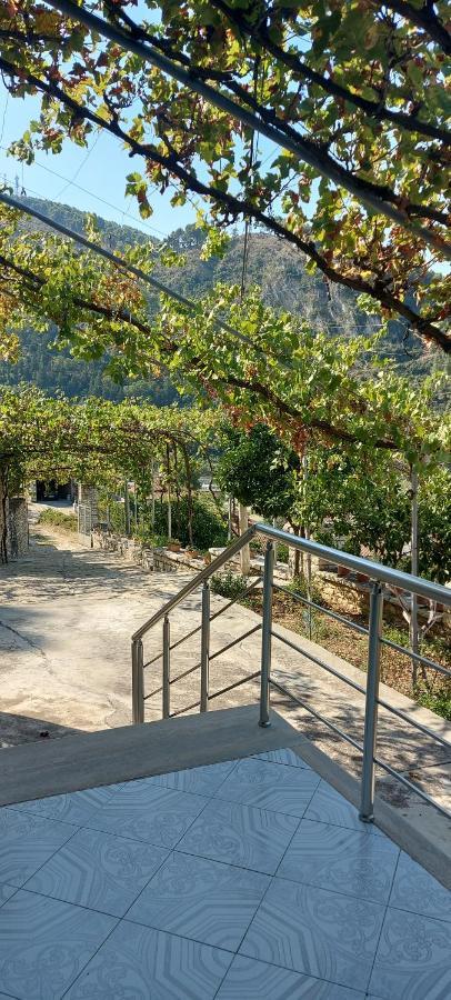 Green Forest Berat Exterior foto